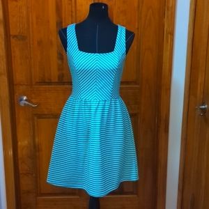 Ayla for Francesca's Dress